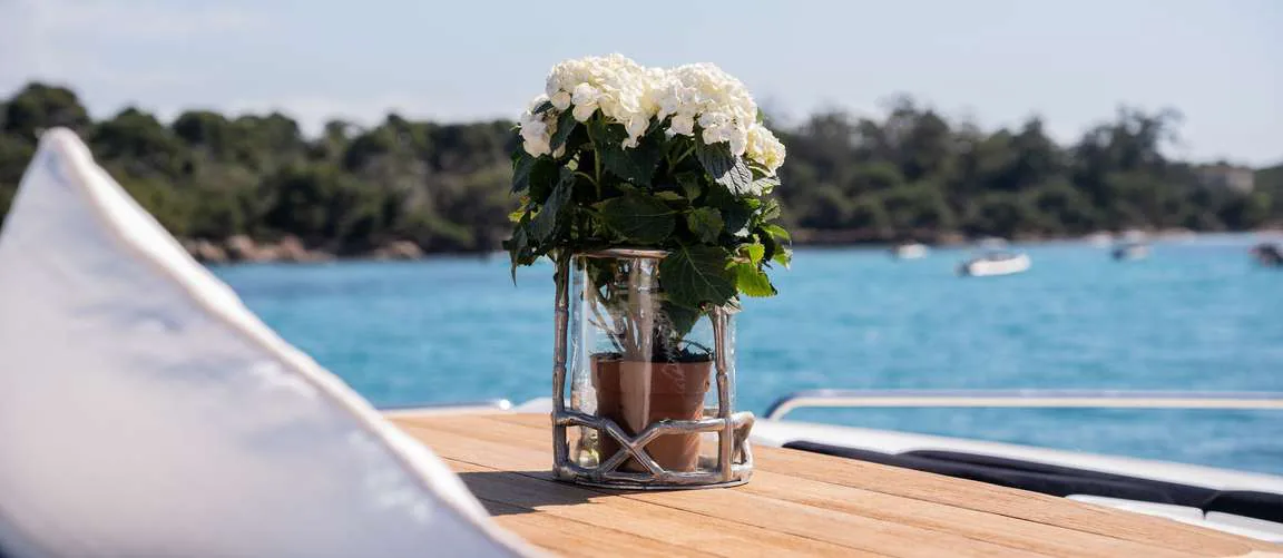 Palumba — photo 16 location yacht Saint-Tropez